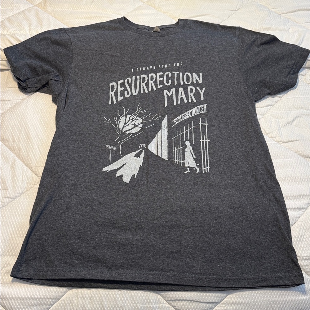 Next Level Apparel Charcoal T-Shirt Chicago legends resurrection mary size L - Picture 2 of 4